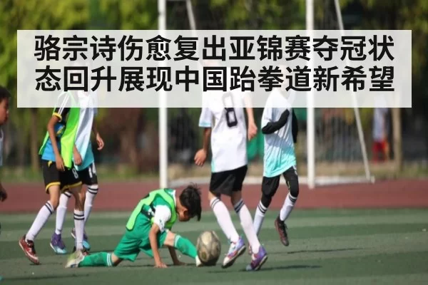 骆宗诗伤愈复出亚锦赛夺冠状态回升展现中国跆拳道新希望